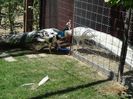 DSC00106