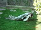 DSC00379