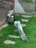 DSC00490