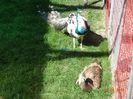 DSC00548