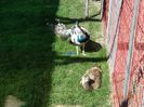 DSC00550