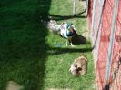DSC00551