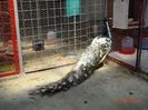 DSC00780