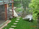 DSC00839