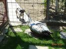DSC09750