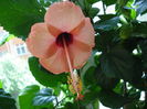 DSC01966