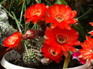 DSC01739