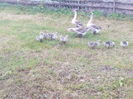 IMG_20150621_195659