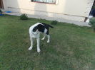 DSCN2160