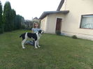DSCN2167