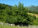 DSCN0002