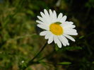 DSCN9962