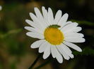 DSCN9963