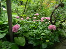DSCN1232