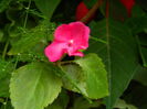DSCN1240