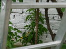 DSCN1256