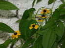 DSCN1257