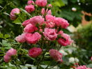 DSCN1270