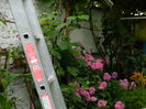 DSCN1271