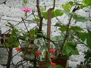 DSCN1283