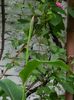 DSCN1284