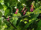 DSCN1287