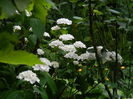 DSCN1298