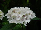 DSCN1300