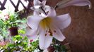 20150621_132942