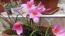 20150621_120348