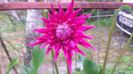 20150621_120329