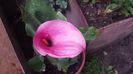 20150621_120200