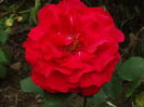 DSC01837