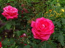 DSC02008