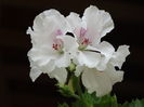 DSC01765