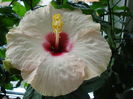 DSC01885