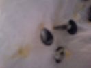 20150623_113046