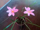 IMG_20150622_071459