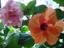 DSC02006