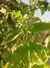 20150623_065155