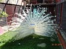 DSC01740