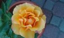 20150608_201824