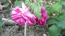 058