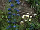 DSC01956