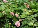 DSCN1308