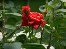 DSCN1310