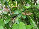 DSCN1332