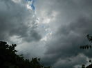DSCN1342