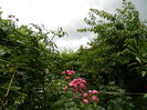 DSCN1345