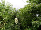 DSCN1347